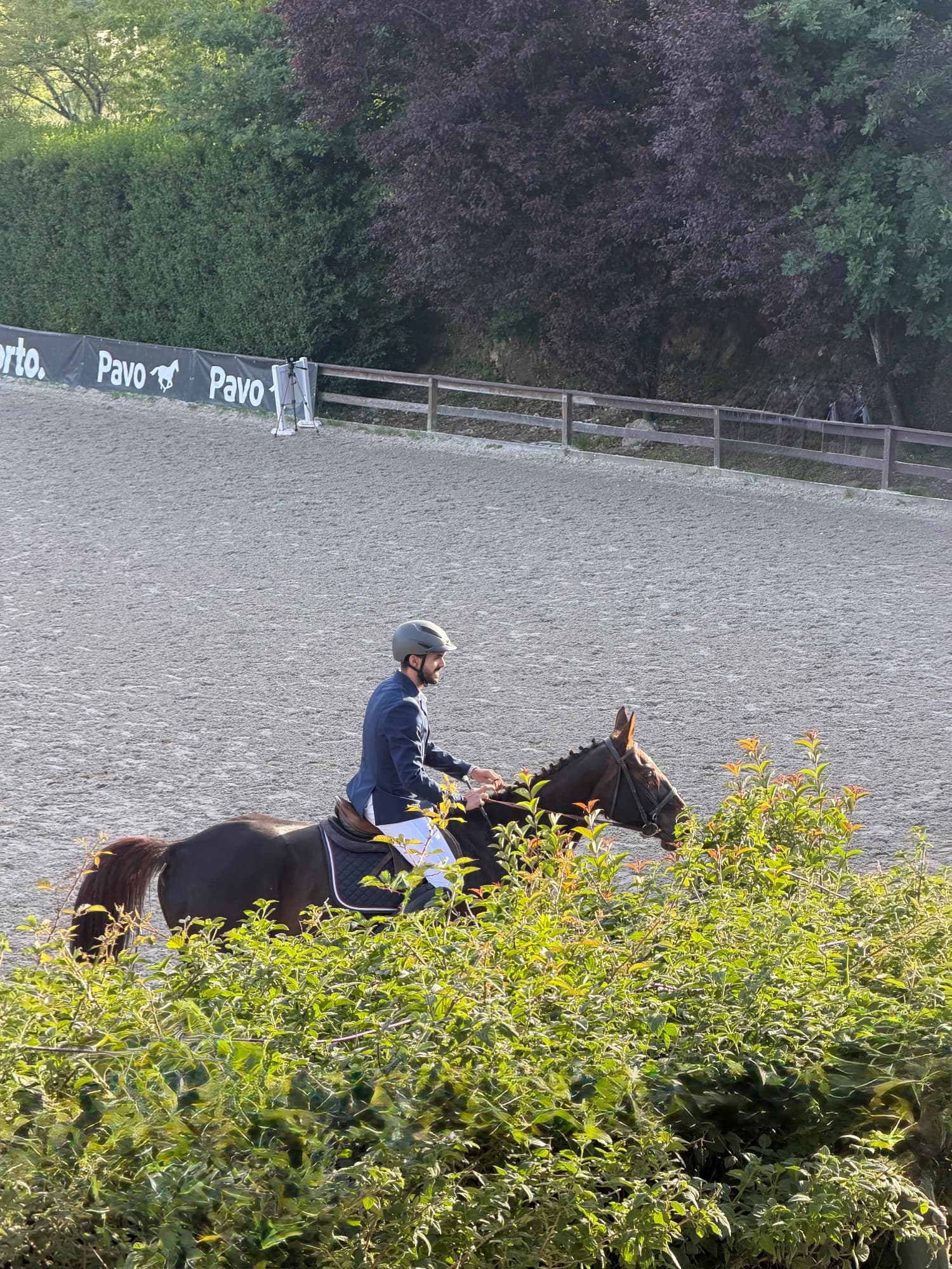 Gabriel Moreira a montar a cavalo, em salto de obstáculos